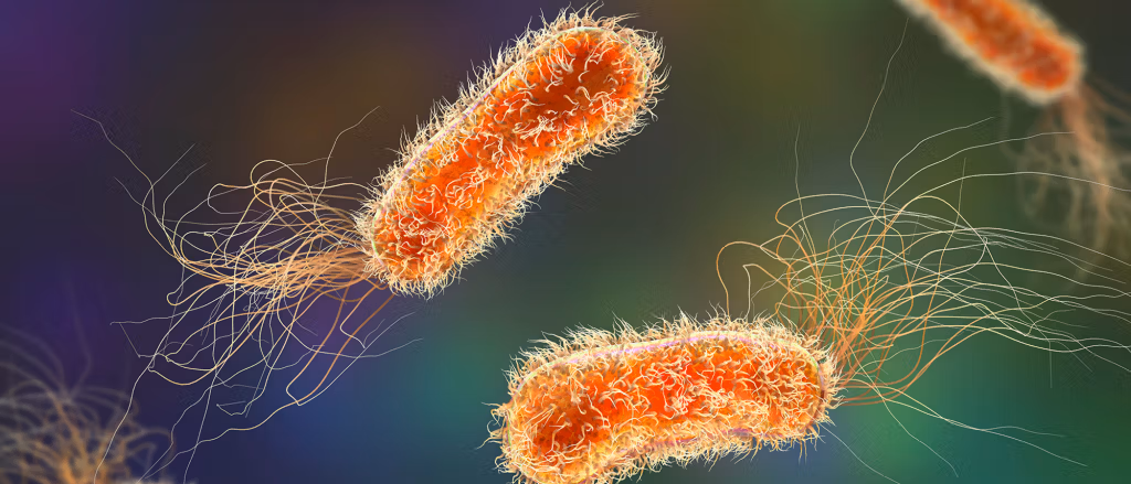 Identifying Breath-based Biomarkers for Pneumonia